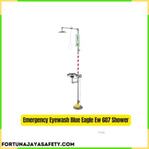 Emergency Eyewash Blue Eagle Ew 607 Shower
