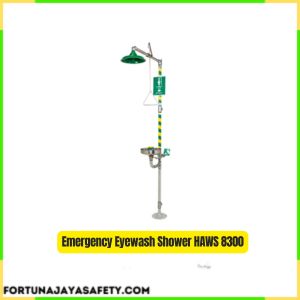 Emergency Eyewash Shower HAWS 8300