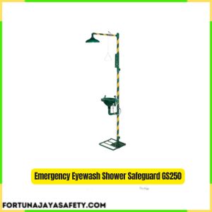 Emergency Eyewash Shower Safeguard GS250