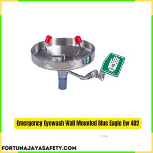 Emergency Eyewash Wall Mounted Blue Eagle Ew 402