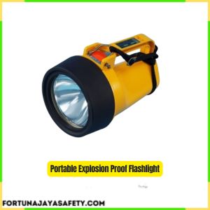 Portable Explosion Proof Flashlight