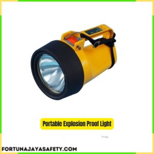 Portable Explosion Proof Light